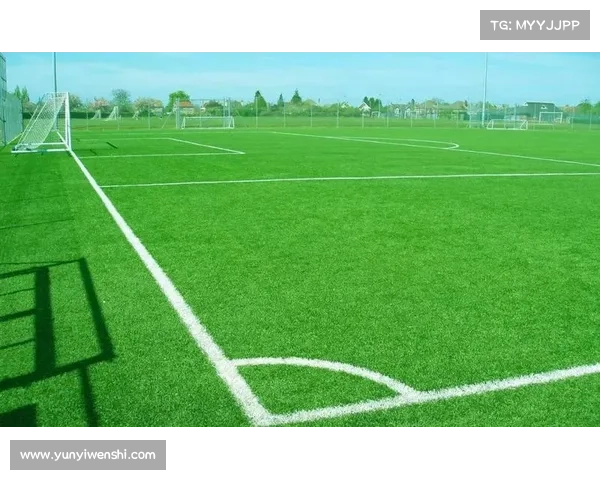 从绿茵圣地到传奇殿堂探索拜仁慕尼黑主场的辉煌历史与独特魅力