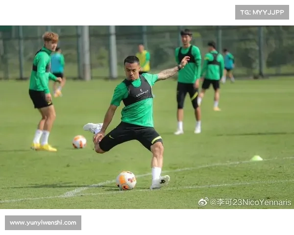 归化国脚重返中超的五大难题与挑战分析